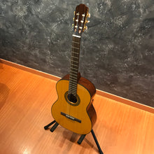 Takamine D30N Classical Guitar