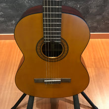 Walden N310T Classical Guitar
