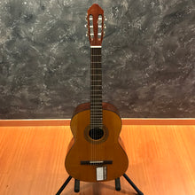 Jasmine C22 Nylon Classical Guitar