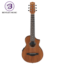 Ibanez EWP12EWB-OPN Acoustic Guitar w/Bag, Open Pore Natural