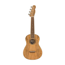 Fender Zuma Exotic Concert Ukulele, Walnut FB, Spalted Maple