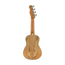 Fender Zuma Exotic Concert Ukulele, Walnut FB, Spalted Maple
