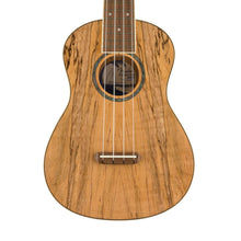 Fender Zuma Exotic Concert Ukulele, Walnut FB, Spalted Maple