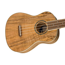 Fender Zuma Exotic Concert Ukulele, Walnut FB, Spalted Maple