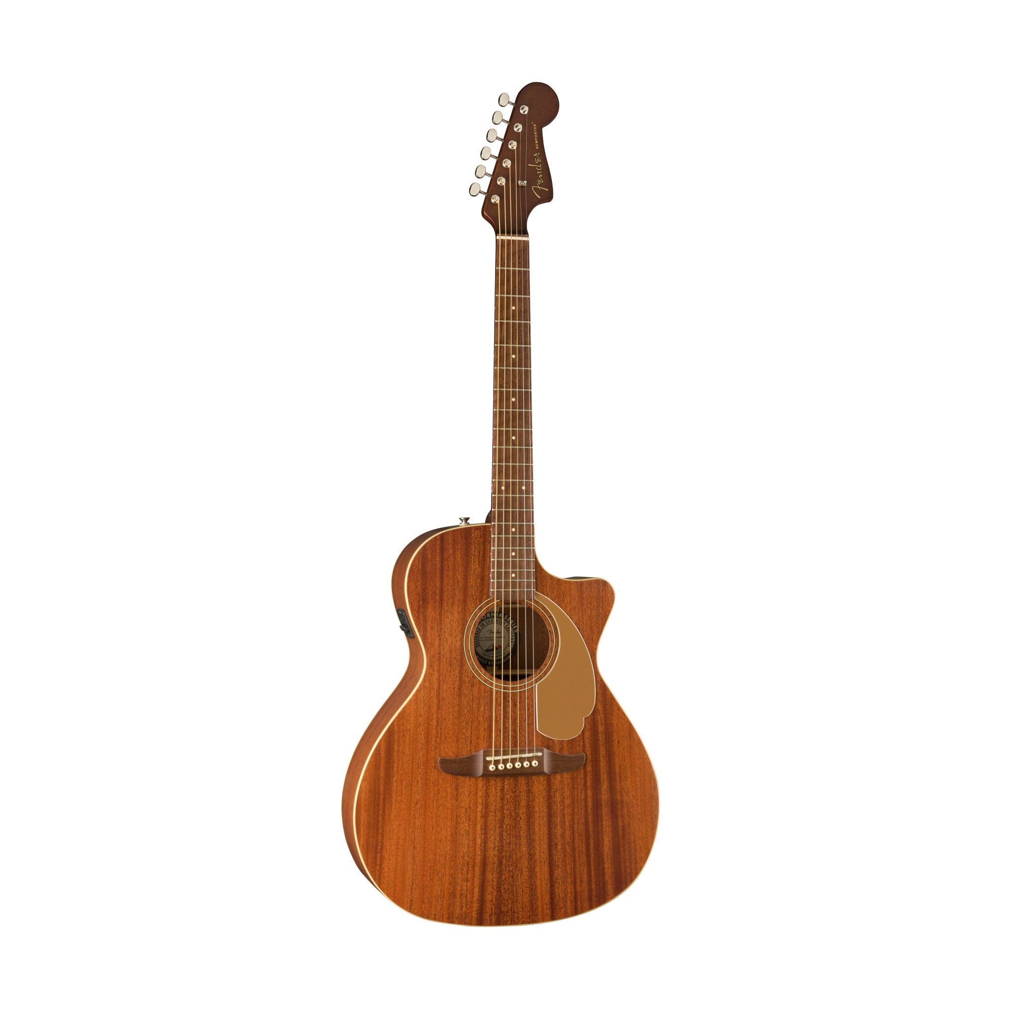 Fender store newporter ii