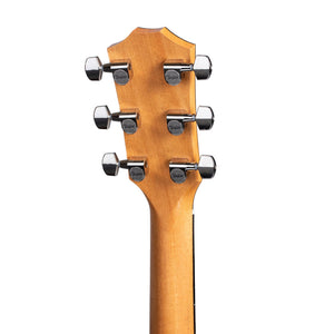 [PREORDER] Taylor 214ce Plus RW/Spruce Grand Auditorium Acoustic Guitar w/Aerocase, Natural