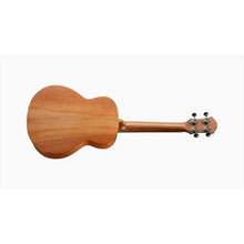 aNueNue C30E Hawaiian Dream Series Full Solid Concert Ukulele With Gigbag - Smooth Satin ( C 30 / C-30 E)